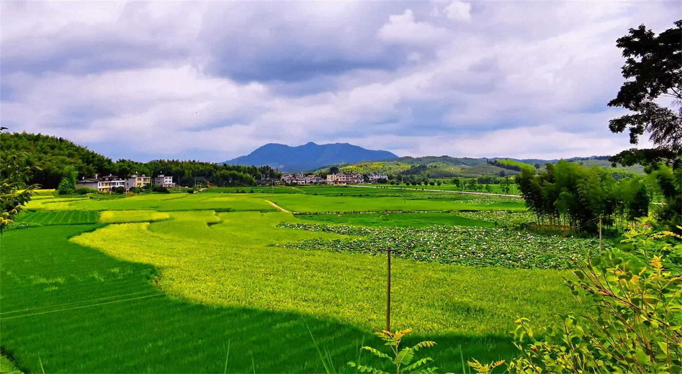 「永和集團(tuán)」助力平橋土整 添彩美麗鄉(xiāng)村